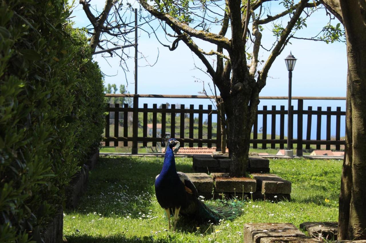 Agriturismo La Baita Agerola Eksteriør bilde